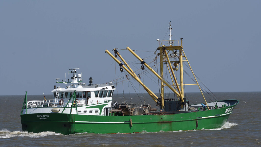 Muschelfischer Hooksiel Foto: Bökhaus