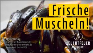 -Werbeanzeige - Leuchtfeuer
