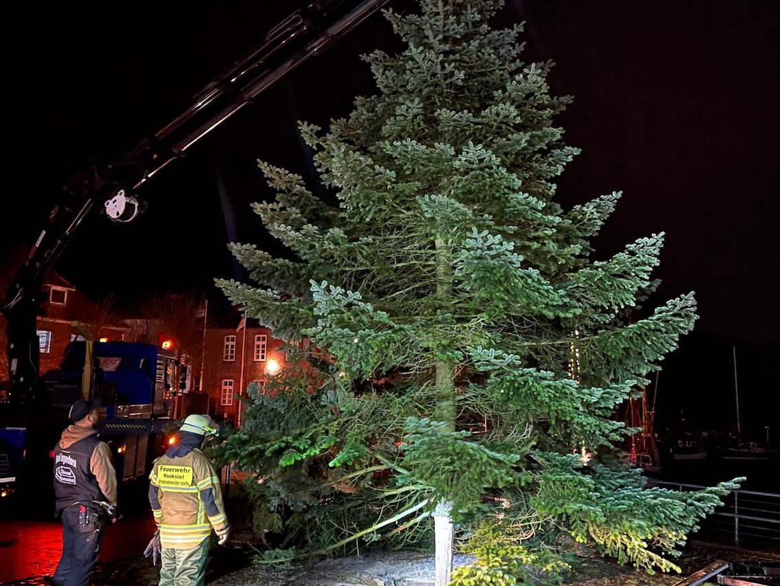 Weihnachtsbaum am Alten Hafen