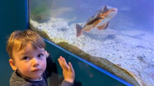 Nationalparkhaus Minsk